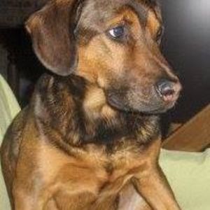 Meet your Posher, Phil